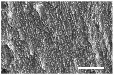 Repeatably erasable photonic crystal structure color-based anti-counterfeiting film and preparation method and application thereof