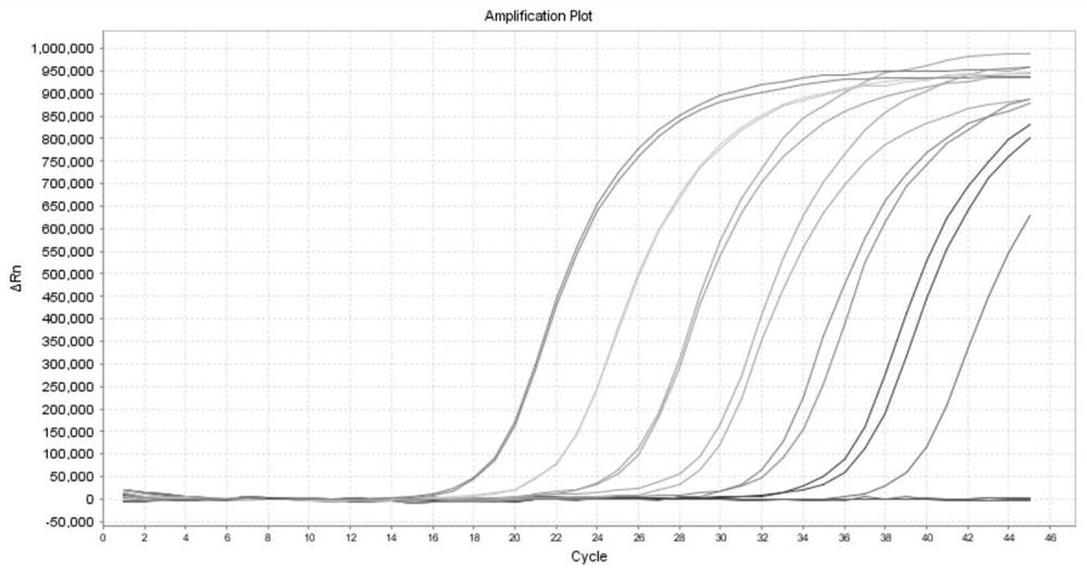 A method and kit for detecting c-met gene copy number variation from human peripheral blood ctc