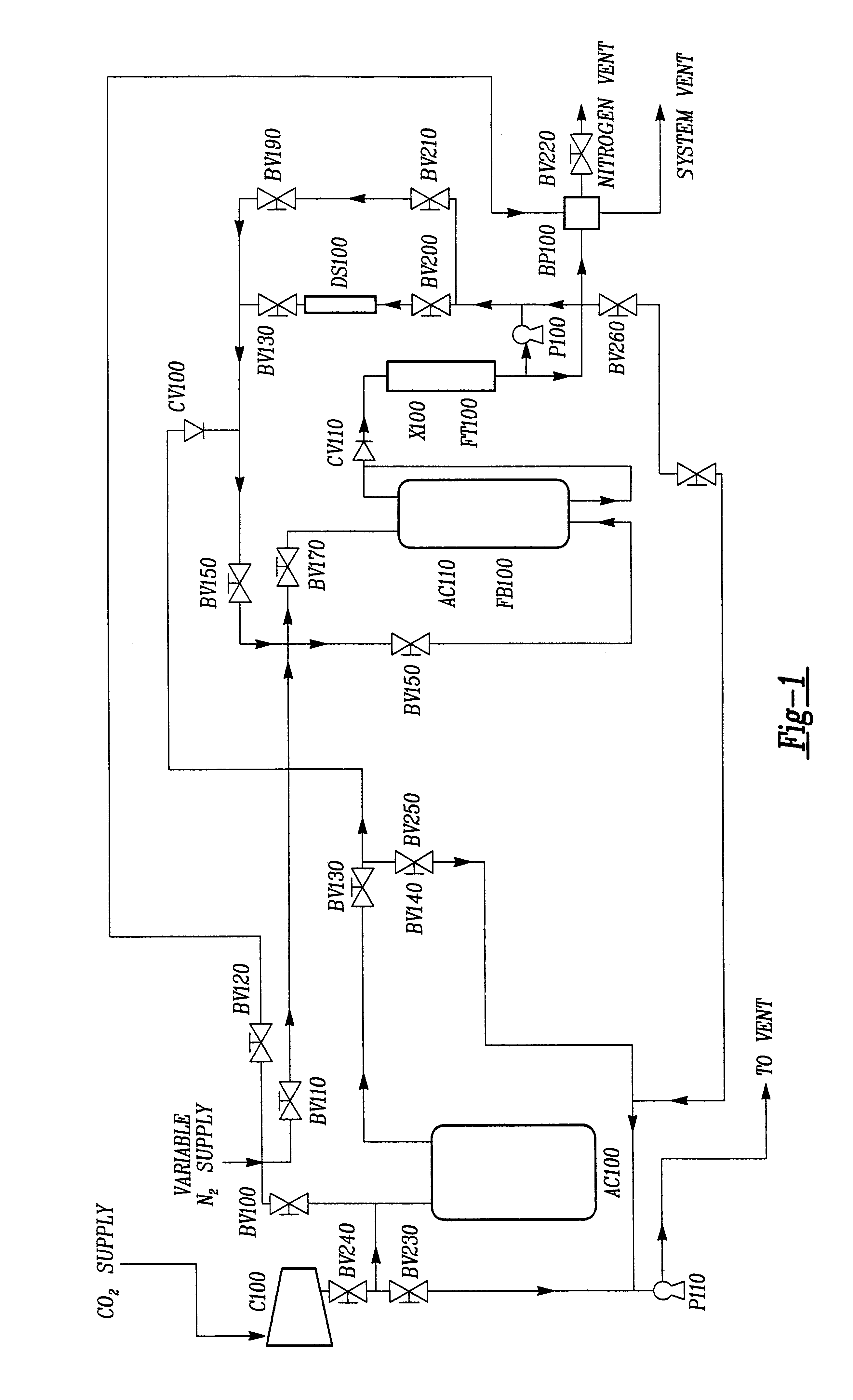 Supercritical fluid aided coating of particulate material