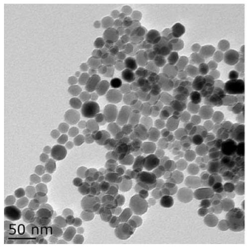 A kind of preparation method of high coercivity magnetic nano particle suspension