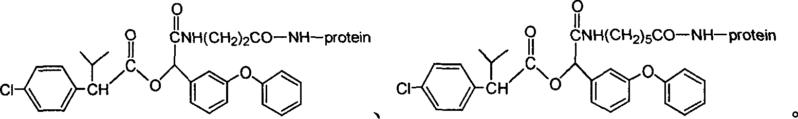 Artificial antigen, antibody of fenvalerate and uses thereof