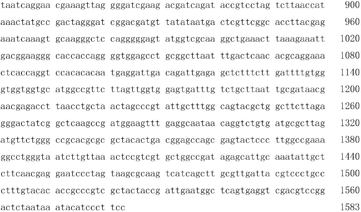 A selenium-enriched Acremonium strain and its application