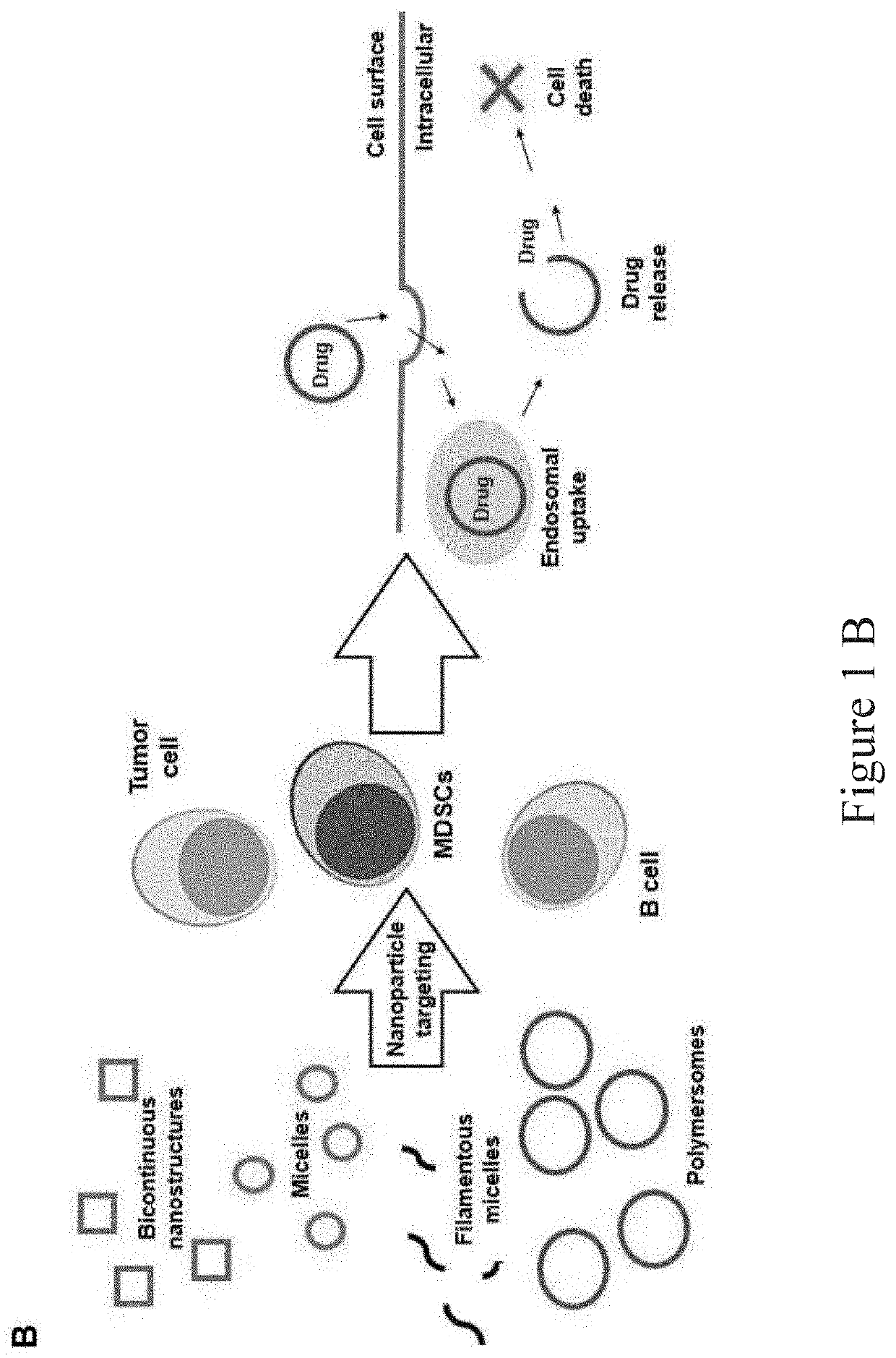 Self-assembled particles for targeted delivery of immunomudulators to treat autoimmunity and cancer