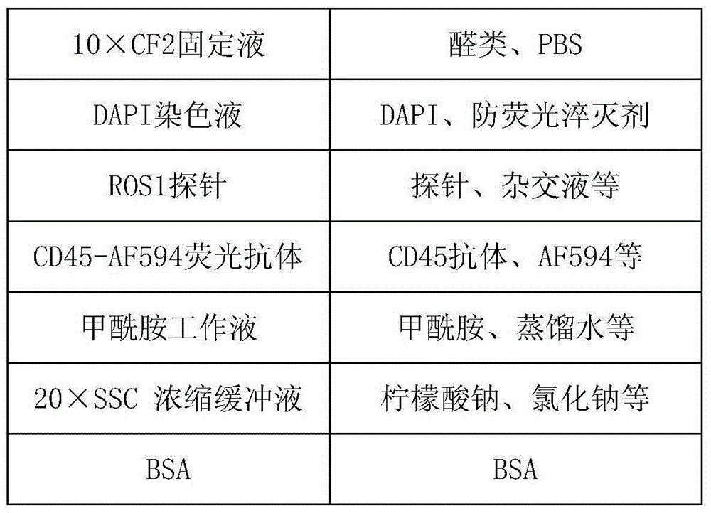 Method for detecting ROS1 gene status based on rare cell and correlated kit