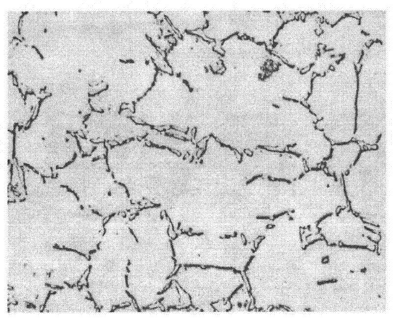 Method for preparing lead and lead alloy metallic phase samples and exposing texture