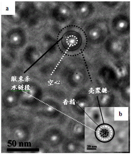 Preparation method of chitosan-based sustained-release fragrance nanocomposite microcapsule coating material