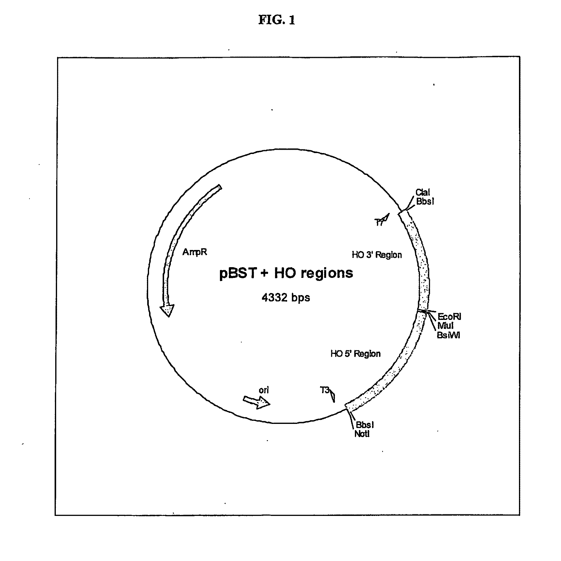 Gene Expression Technique