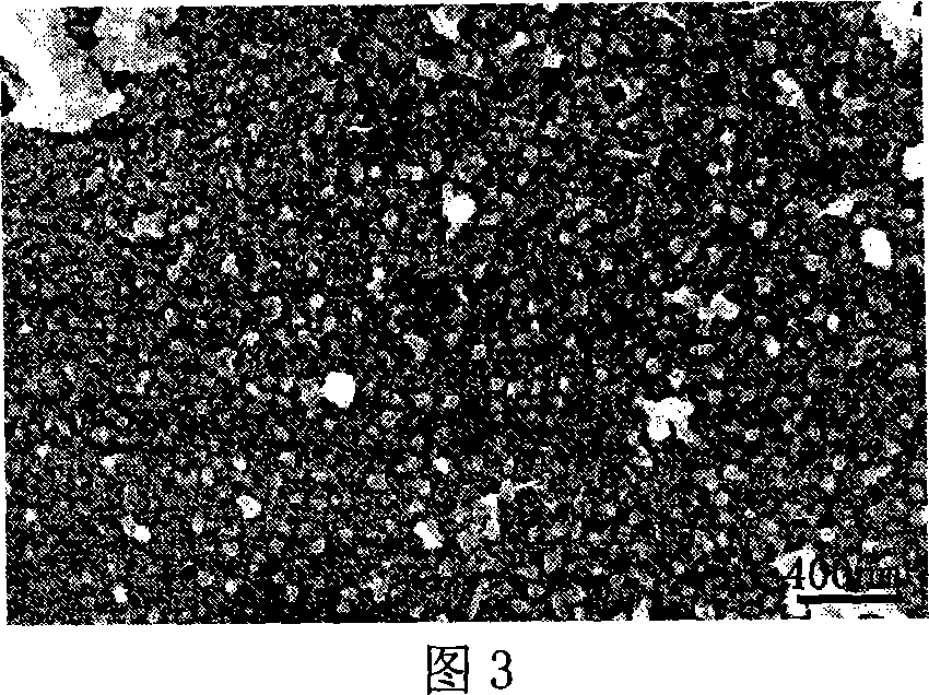 Plasma melting coating iron-base amorphous nano-crystalline coat and preparing method thereof