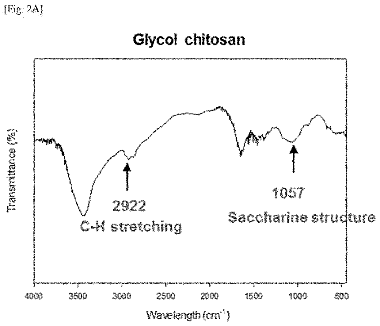 Glycyrrhizin-glycol chitosan conjugate-coated iron oxide nanoparticles and use thereof