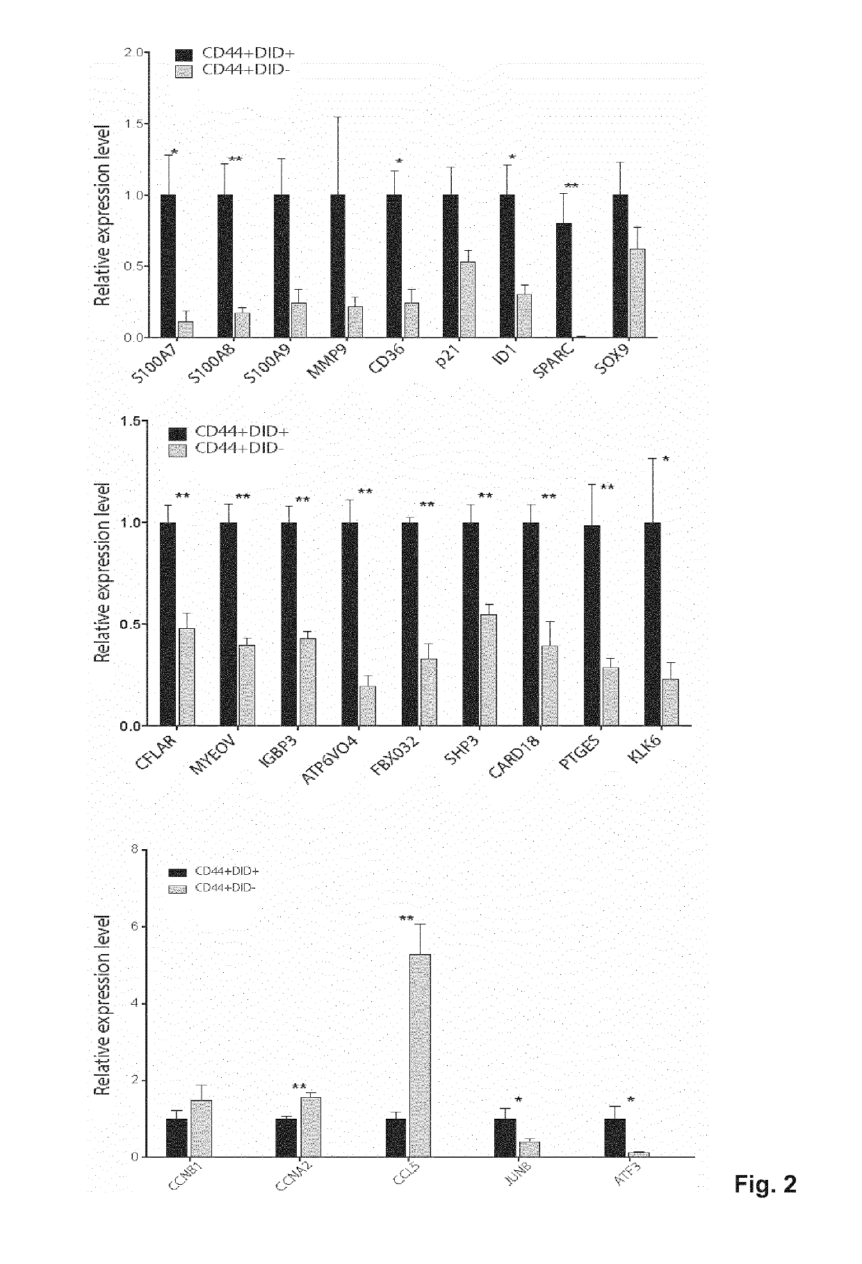 Targeting metastasis stem cells through a fatty acid receptor (CD36)