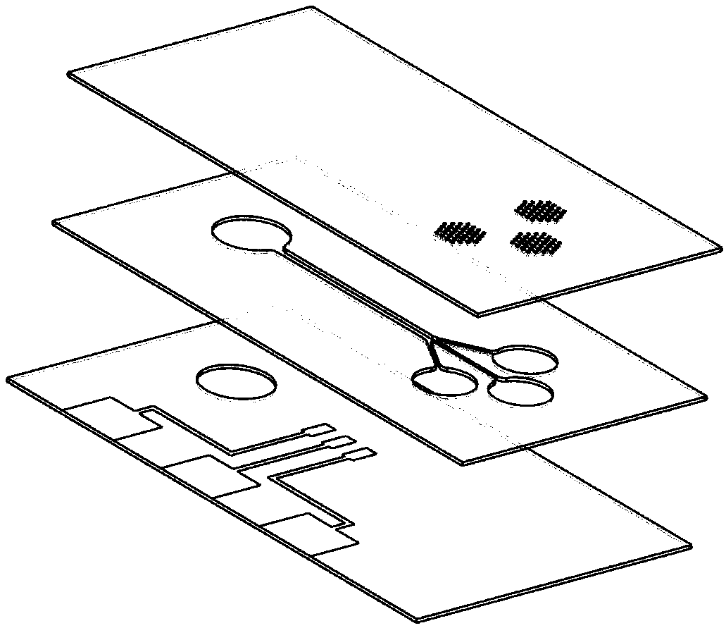 Micro pump capable of monitoring sweat flow in real time based on capillary-evaporation effect