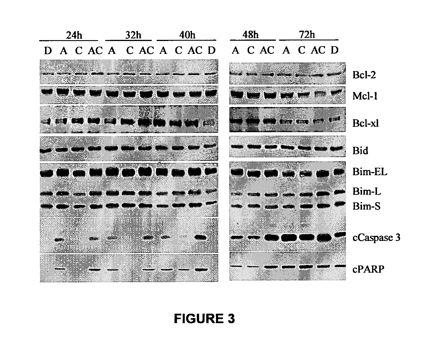 Combinations of sapacitabine or cndac with DNA methyltransferase inhibitors such as decitabine and procaine