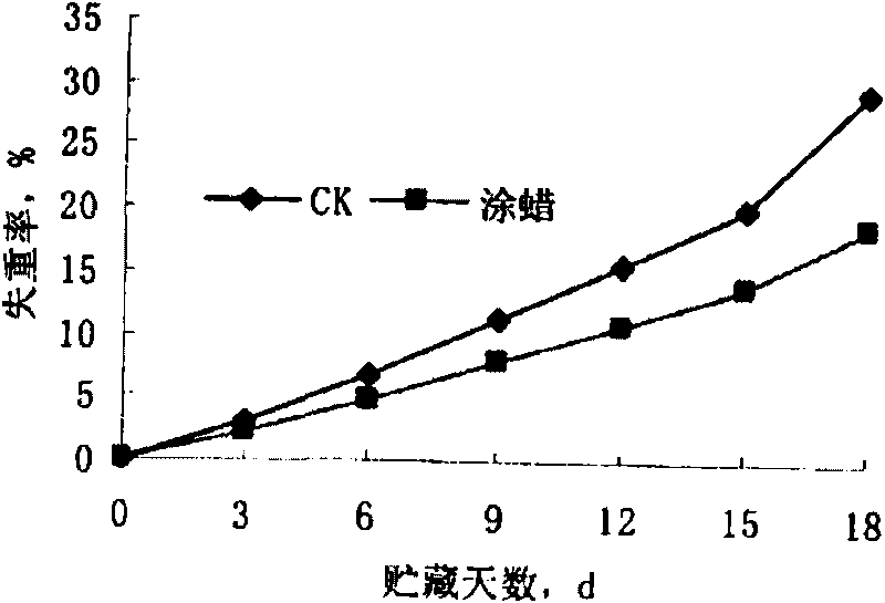 Morpholine fatty acid salt fresh-keeping fruit wax used in mango