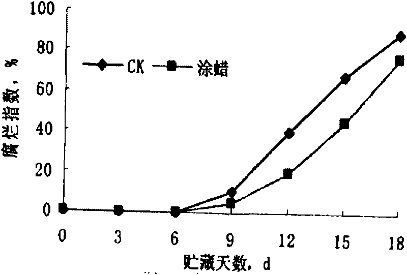 Morpholine fatty acid salt fresh-keeping fruit wax used in mango