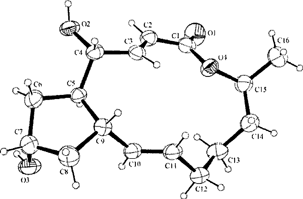 Eupenicillium brefeldianum variety ZJB082702 and application thereof in preparation of Brefeldin A by fermentation