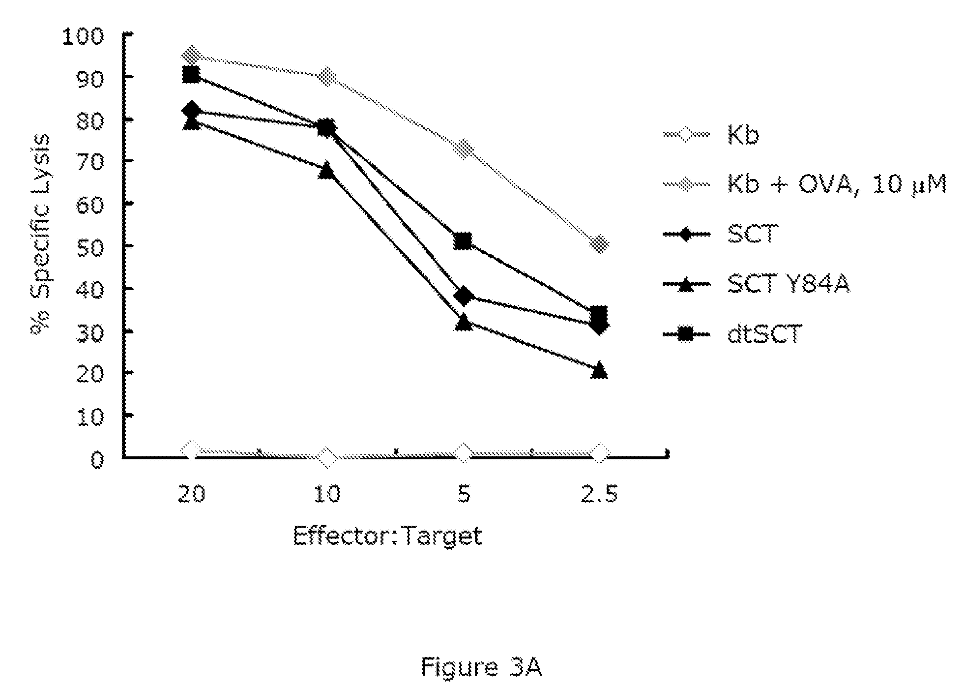 Disulfide trap MHC class I molecules and uses therefor