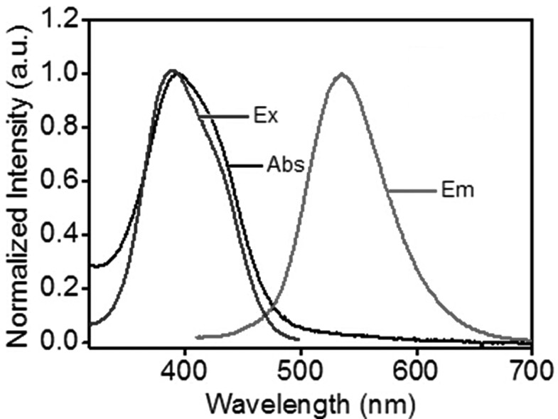 A fluorescent carbon dot for nuclear staining and its application and method in nuclear imaging