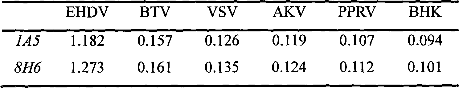 Monoclonal antibody of epizootic hemorrhagic disease virus of deer (EHDV) and preparation method and application thereof