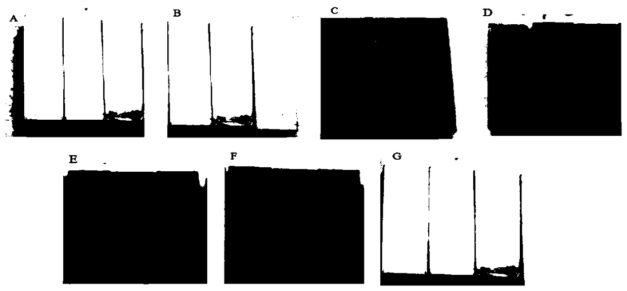 Environmentally friendly sintering coating of low-adhesion phase metal ceramic