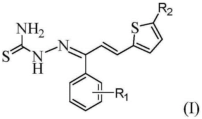 Thiosemicarbazone derivatives, preparation method and applications thereof