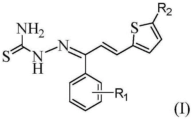 Thiosemicarbazone derivatives, preparation method and applications thereof