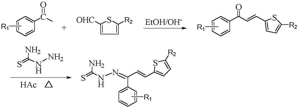 Thiosemicarbazone derivatives, preparation method and applications thereof