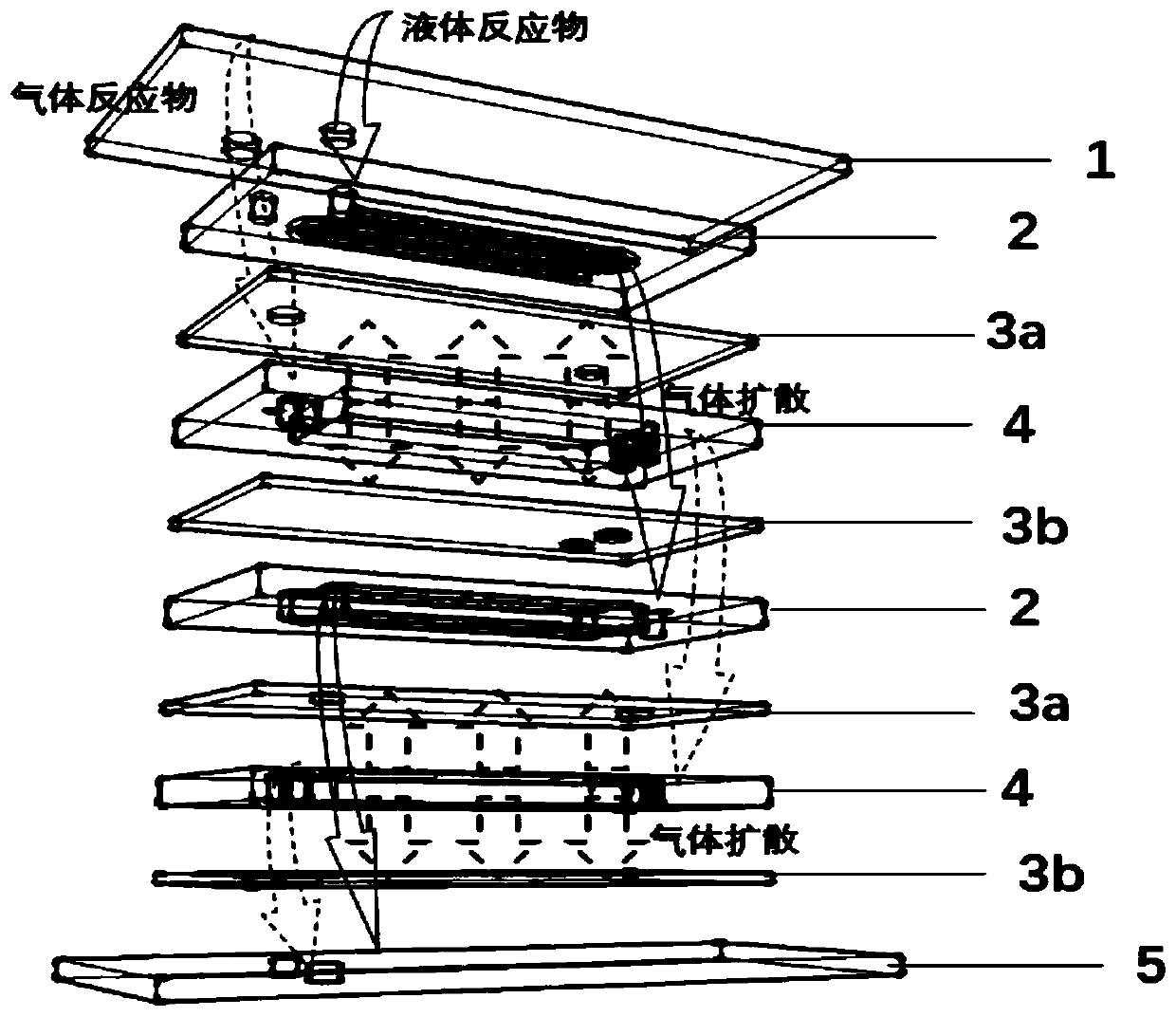 Gas-liquid-solid three-phase membrane microreactor with stacked structure