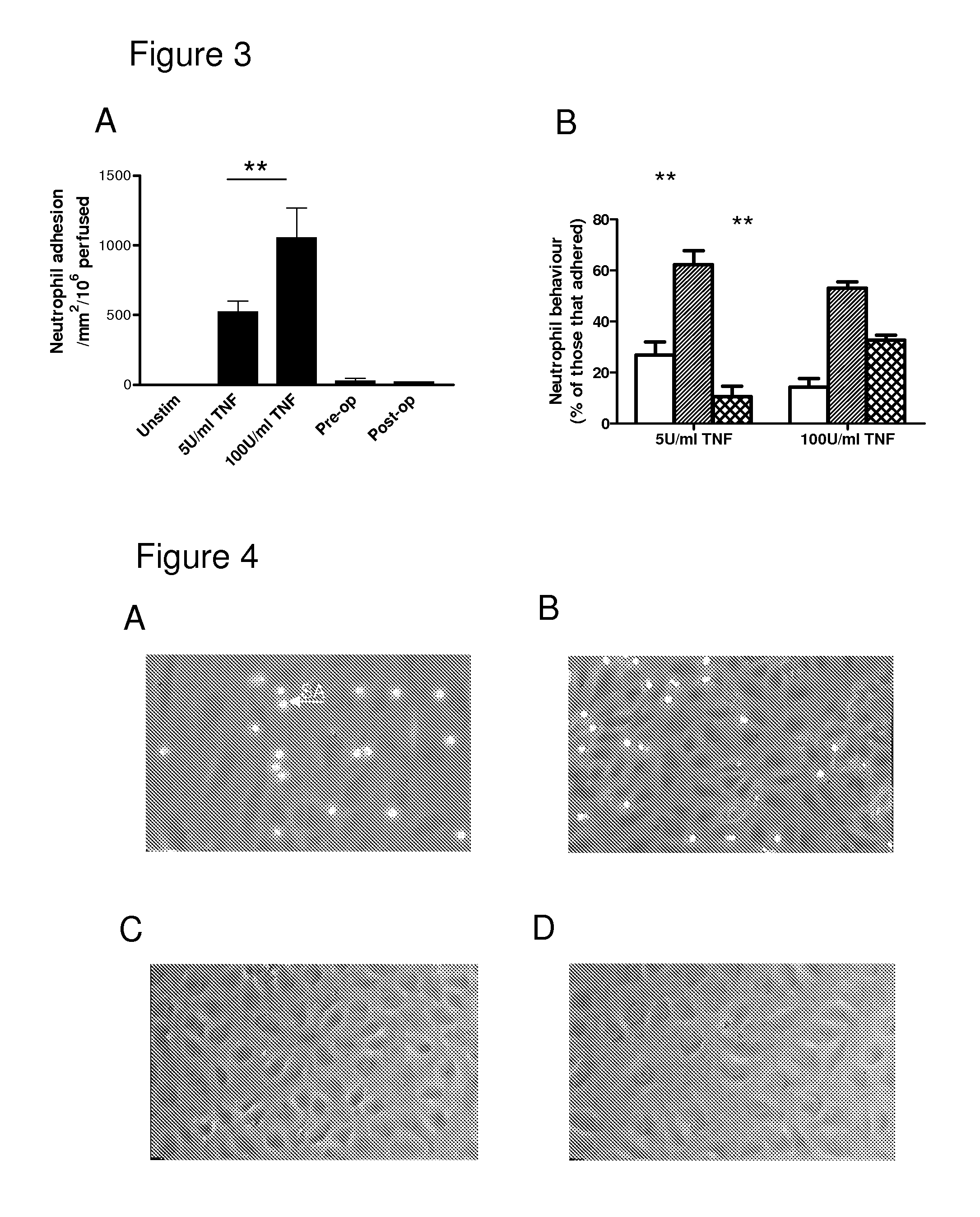 Biomarker