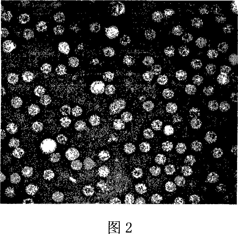 Virus-like particles containing O-type foot-and-mouth disease virus IRES RNA, preparation method and application