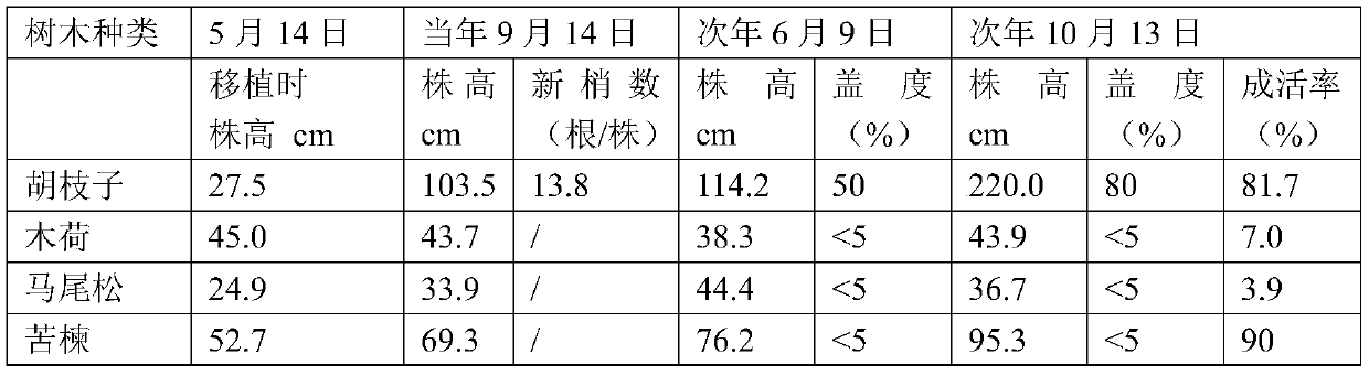 A method of quickly repairing the tailings reservoir of southern copper mines using container seedlings