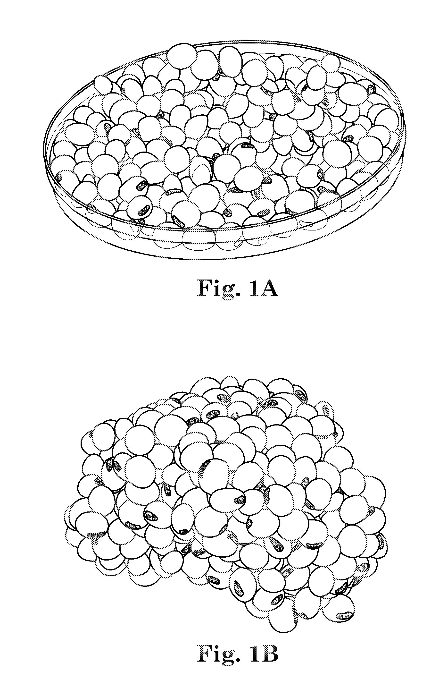 Methods and compositions for reducing seed bridging