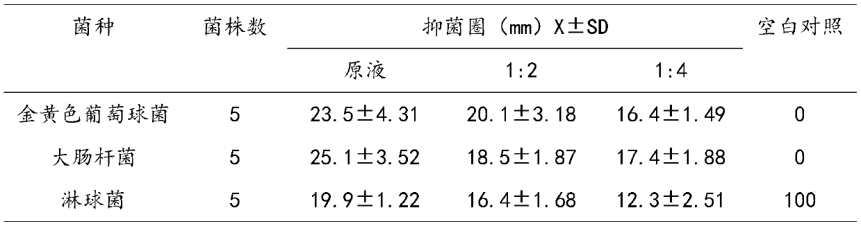 Traditional Chinese medicine scald ointment for treating burn and scald, and preparation method of traditional Chinese medicine scald ointment