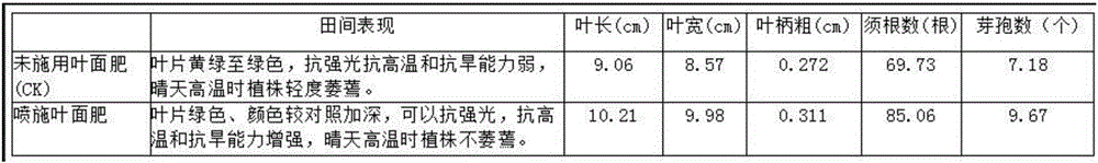 Special herba asari foliar fertilizer and application method thereof