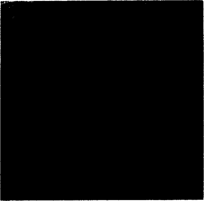 Method for separating antibiotic peptide and separated antibiotic peptide