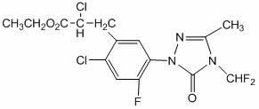 Corn field herbicide composition