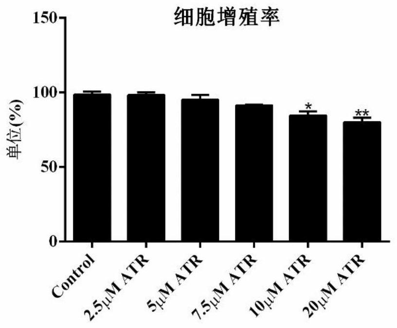 Application of atractyloside in preparation of medicine for treating fatty liver