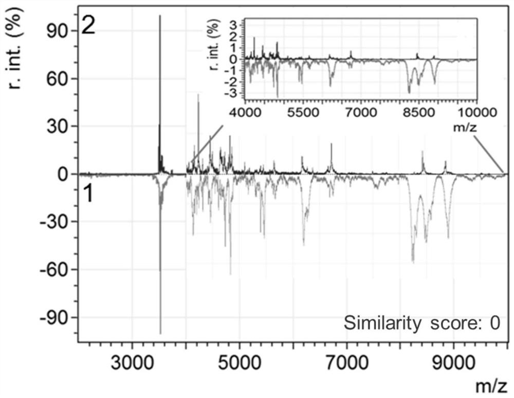 Method for rapidly identifying Atlantic salmon and rainbow trout based on mass spectrometry technology