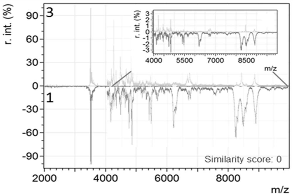 Method for rapidly identifying Atlantic salmon and rainbow trout based on mass spectrometry technology