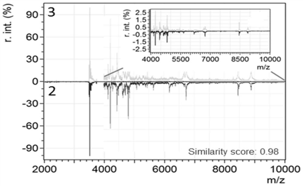 Method for rapidly identifying Atlantic salmon and rainbow trout based on mass spectrometry technology