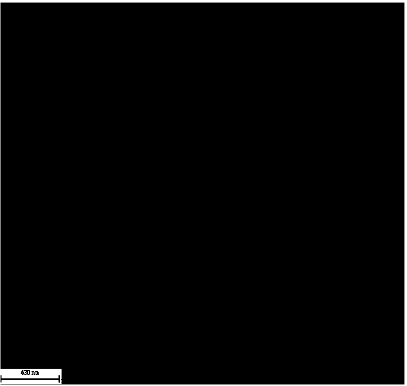 Preparation method of radial magnetic core-shell mesoporous silicon material with phenyl functionalization