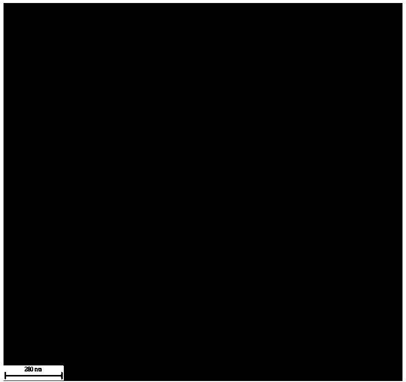 Preparation method of radial magnetic core-shell mesoporous silicon material with phenyl functionalization