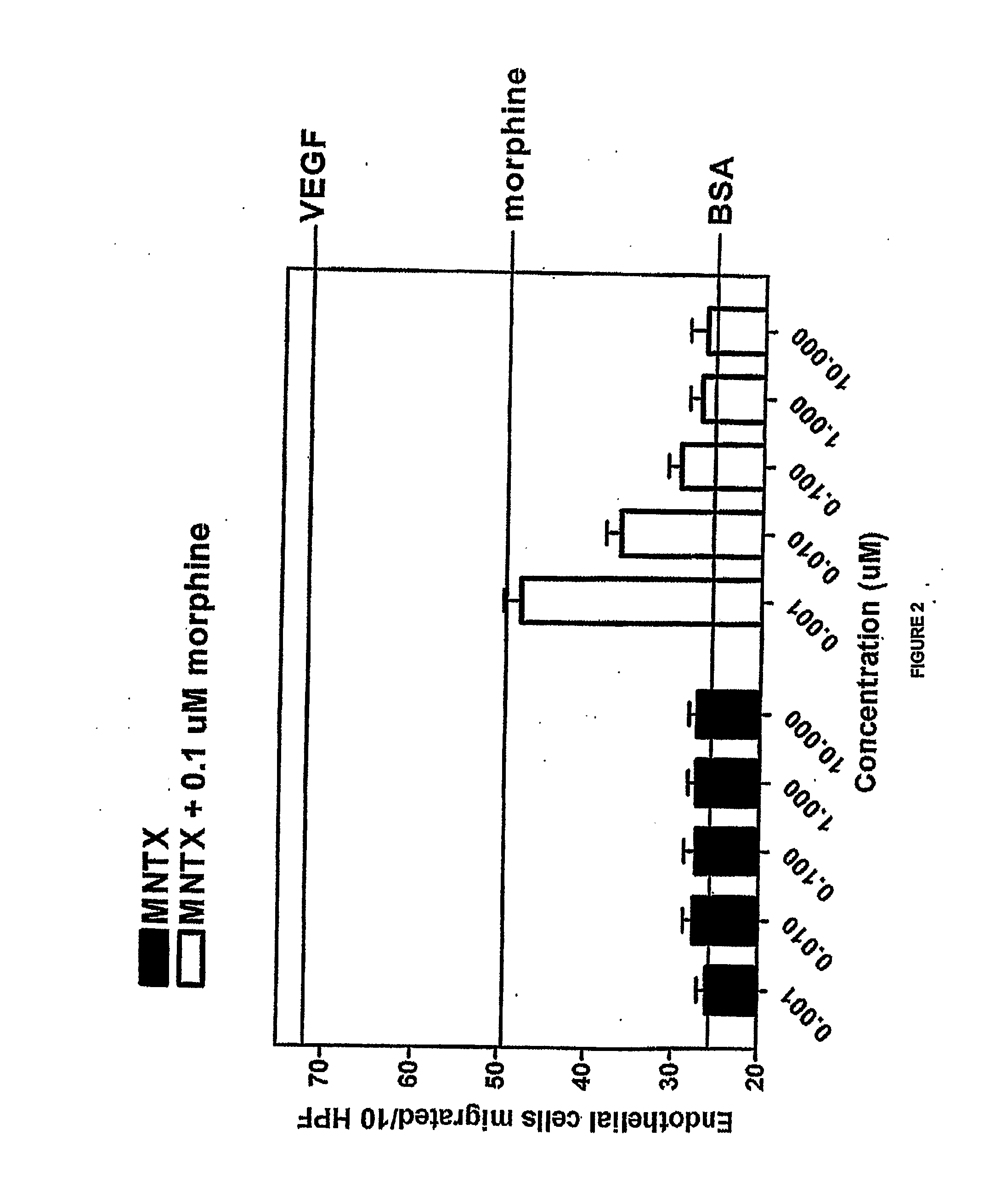 Use of Opioid Antagonists to Attenuate Endothelial Cell Proliferation and Migration