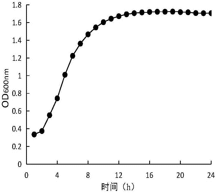 Lactobacillus plantarum with inhibitory activity to alpha-glucosidase