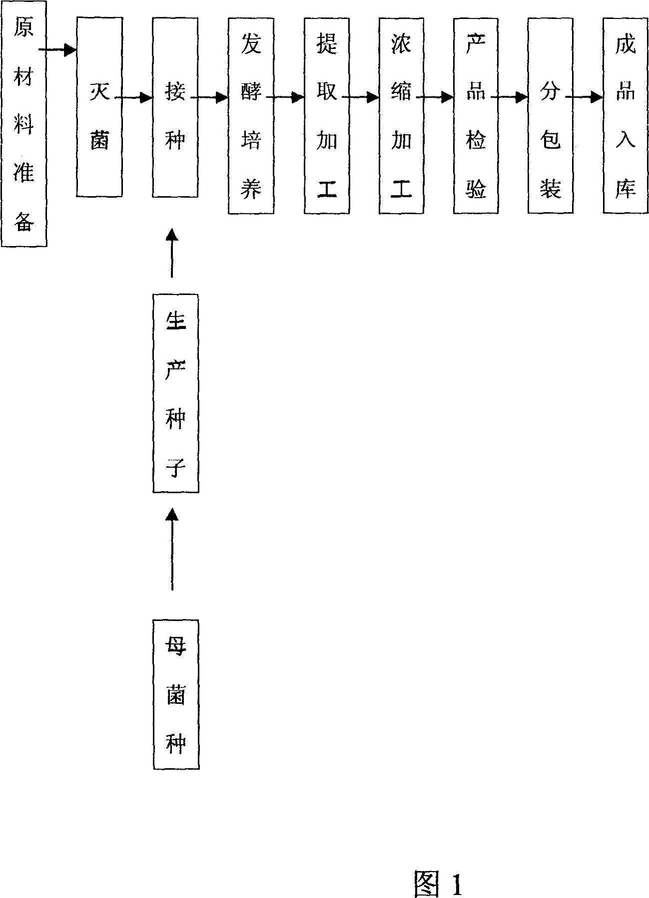 Composition of multiple fungus possessing effects of anti tumour and adjusting immunity preparation method, and usage