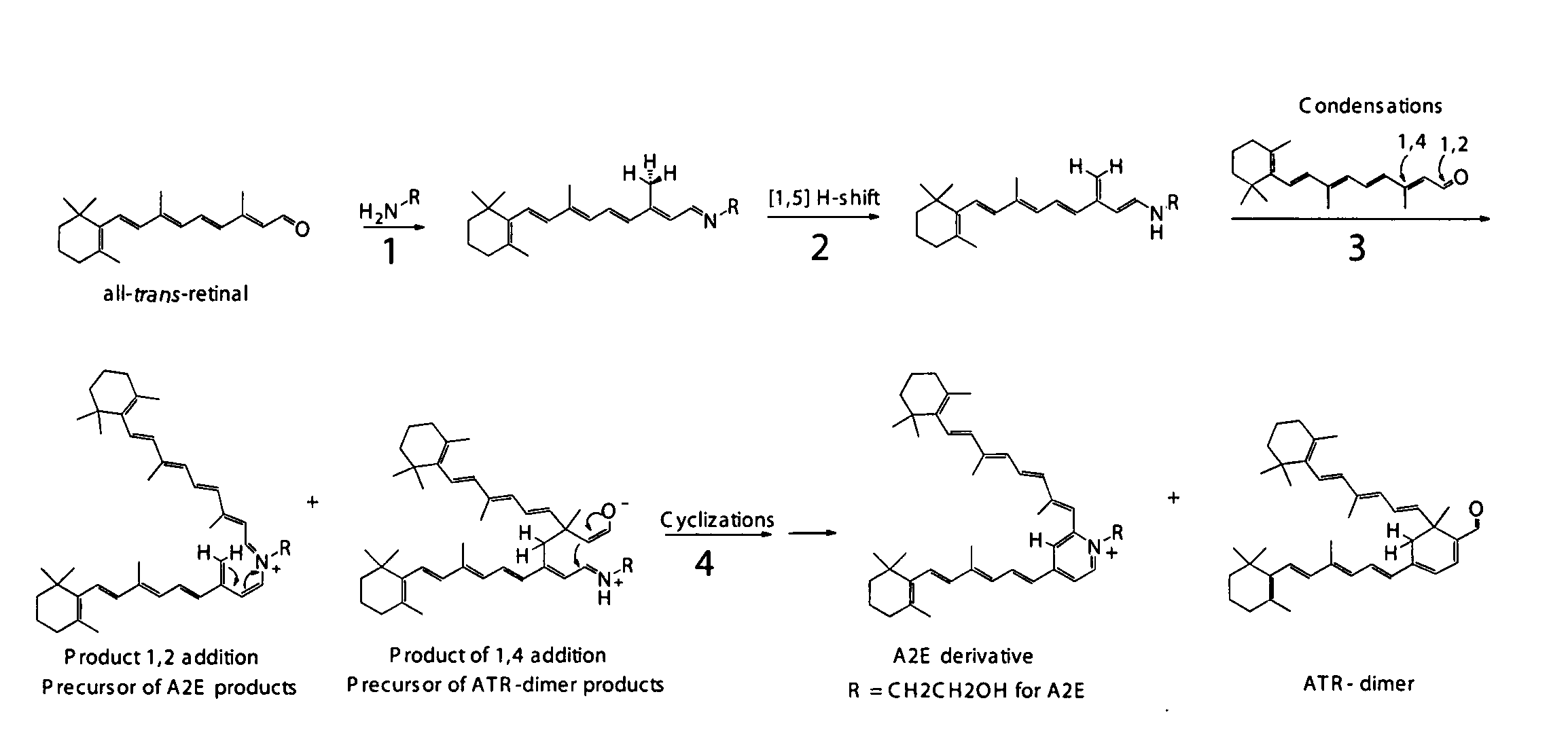 Compositions and methods for treating macular degeneration