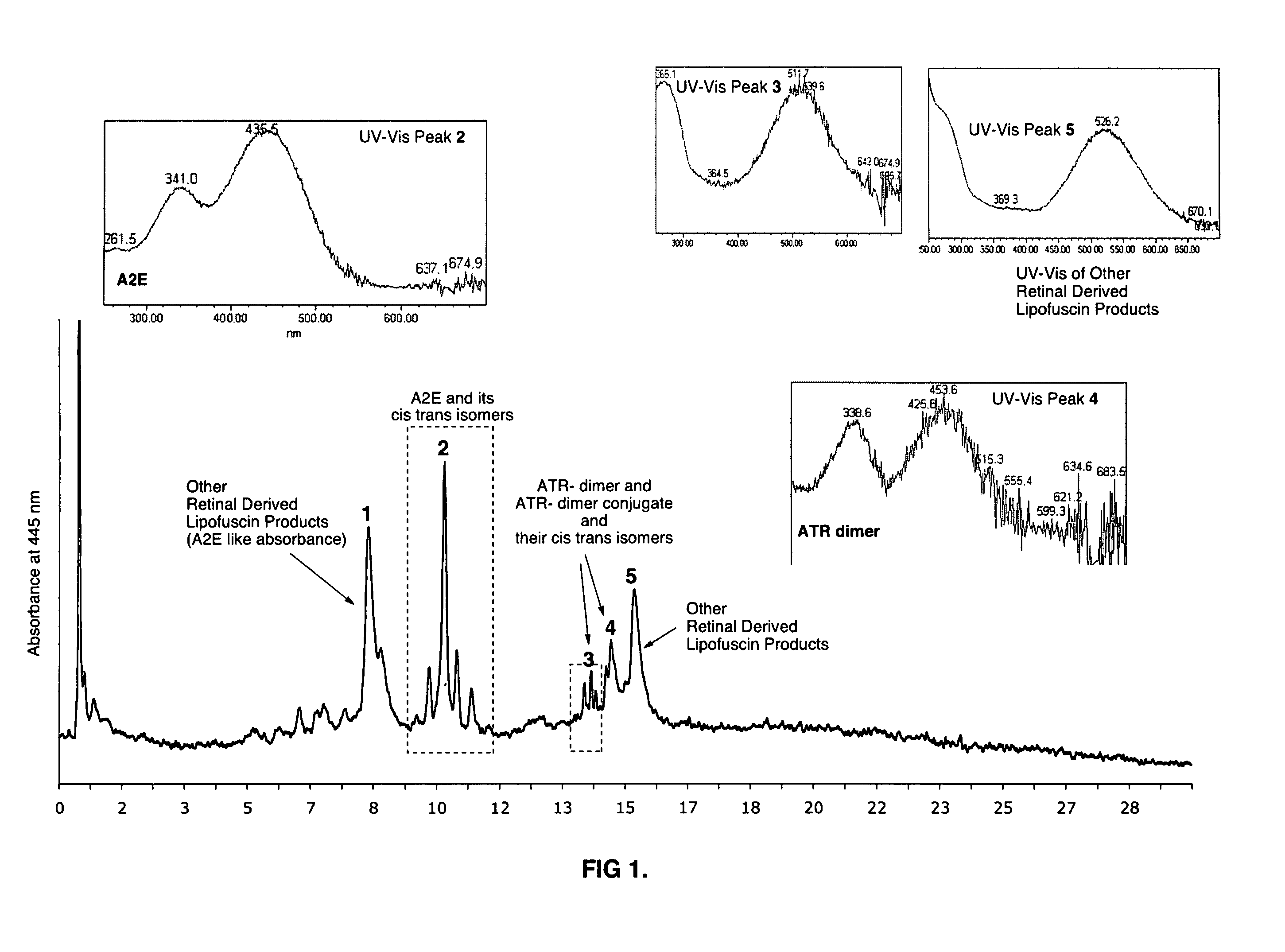 Compositions and methods for treating macular degeneration