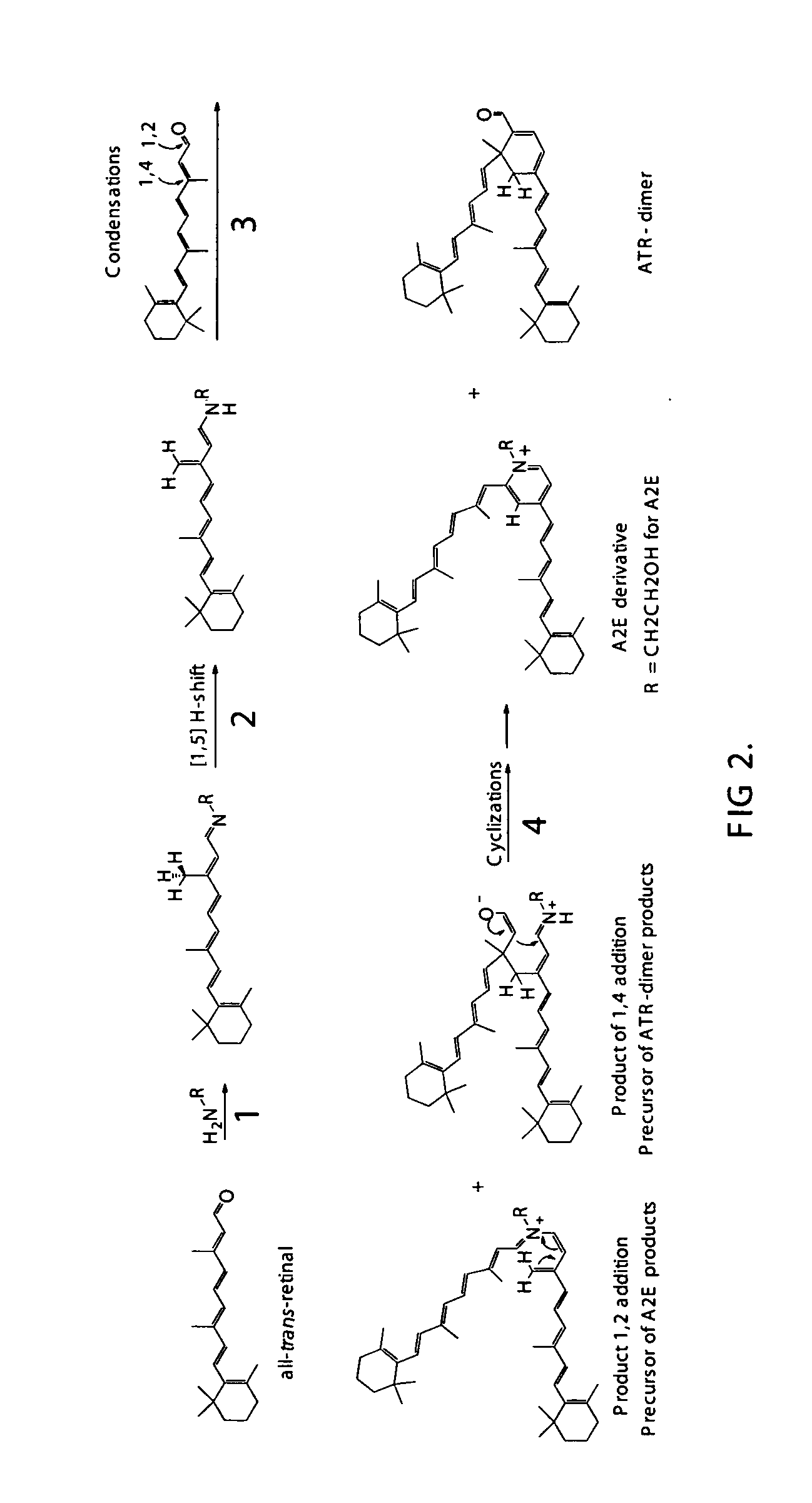 Compositions and methods for treating macular degeneration