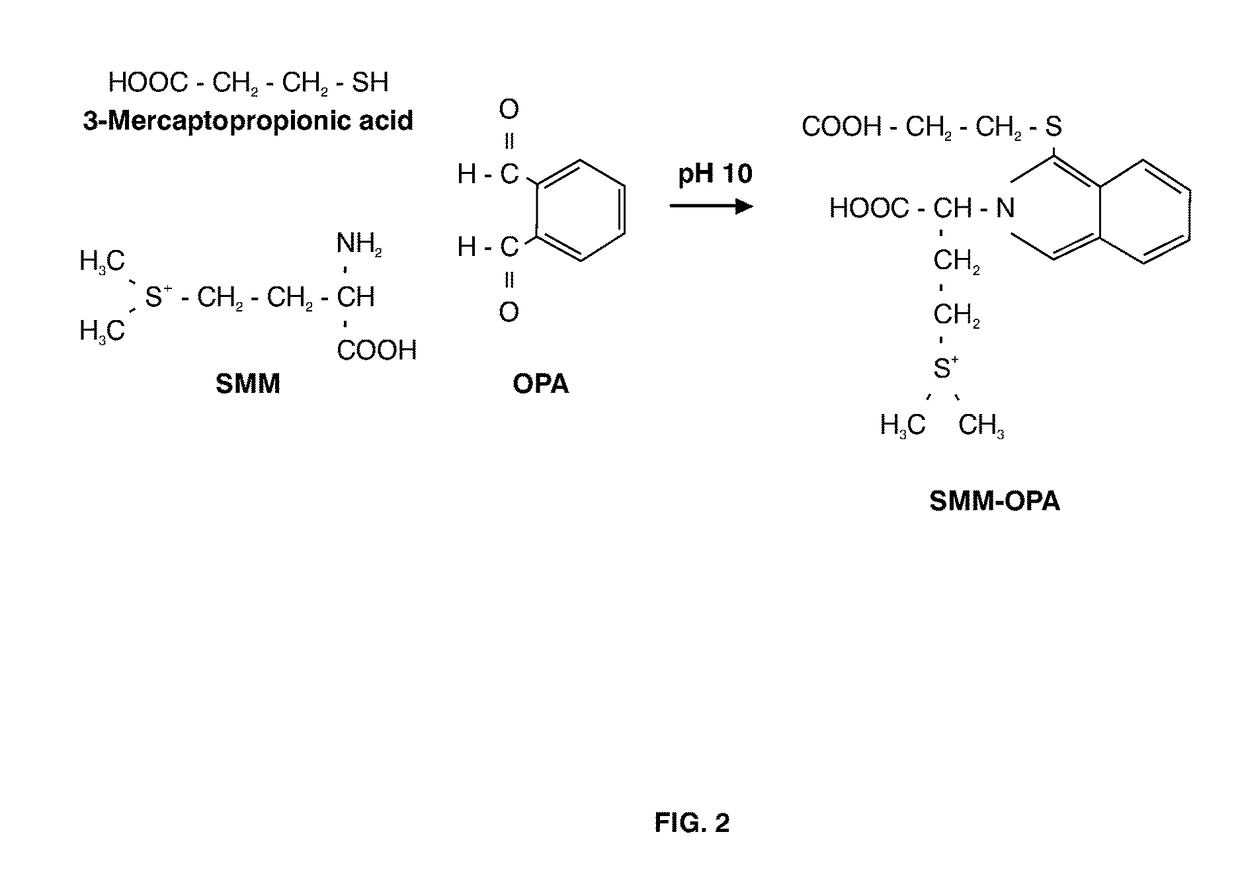 Barley and malt-derived beverages with low DMS level