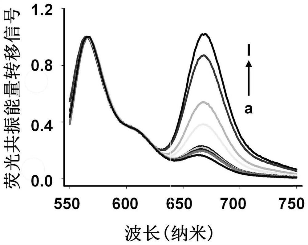 Three-dimensional DNA walker and application thereof in tumor exosome detection