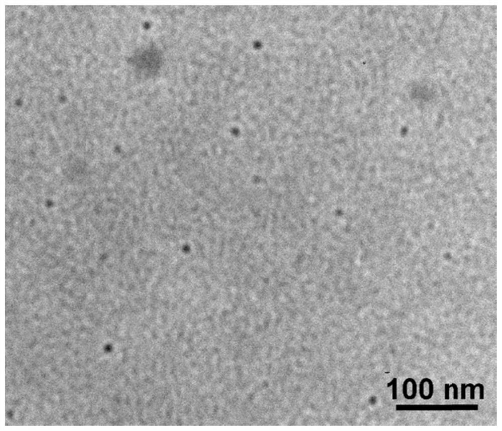 Whole genome overall 5hmC detection method and application thereof